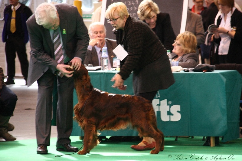 Crufts2011 395.jpg